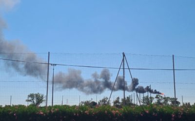 Article la Marseillaise: « Région Sud-Paca : prouver le lien entre pollution et allergie »